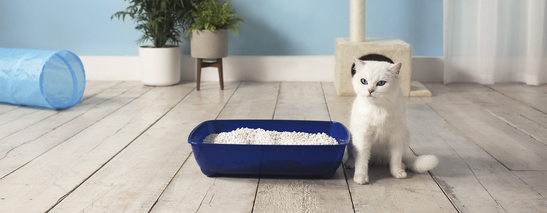 Catsan brand imagery